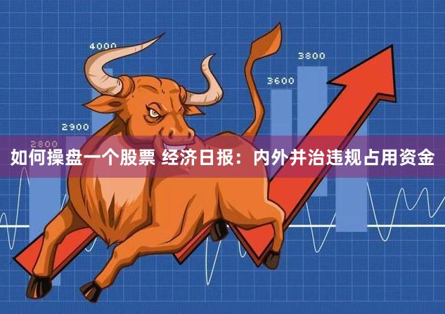 如何操盘一个股票 经济日报：内外并治违规占用资金