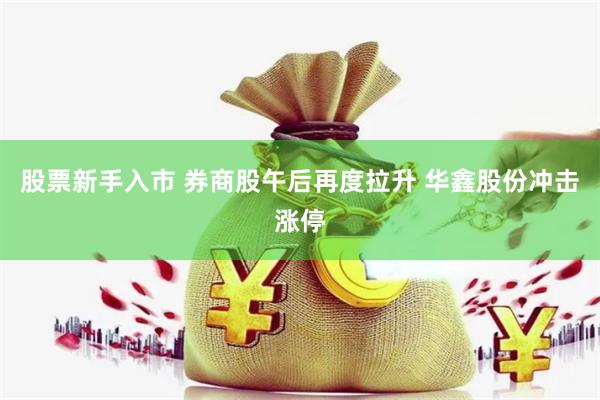 股票新手入市 券商股午后再度拉升 华鑫股份冲击涨停